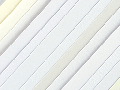 AdobeStock_100711584